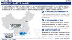 2025年中国桉树行业现状阐发及成长趋向预测演讲