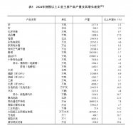 中华人平易近国2024年国平易近经济和社会成长统